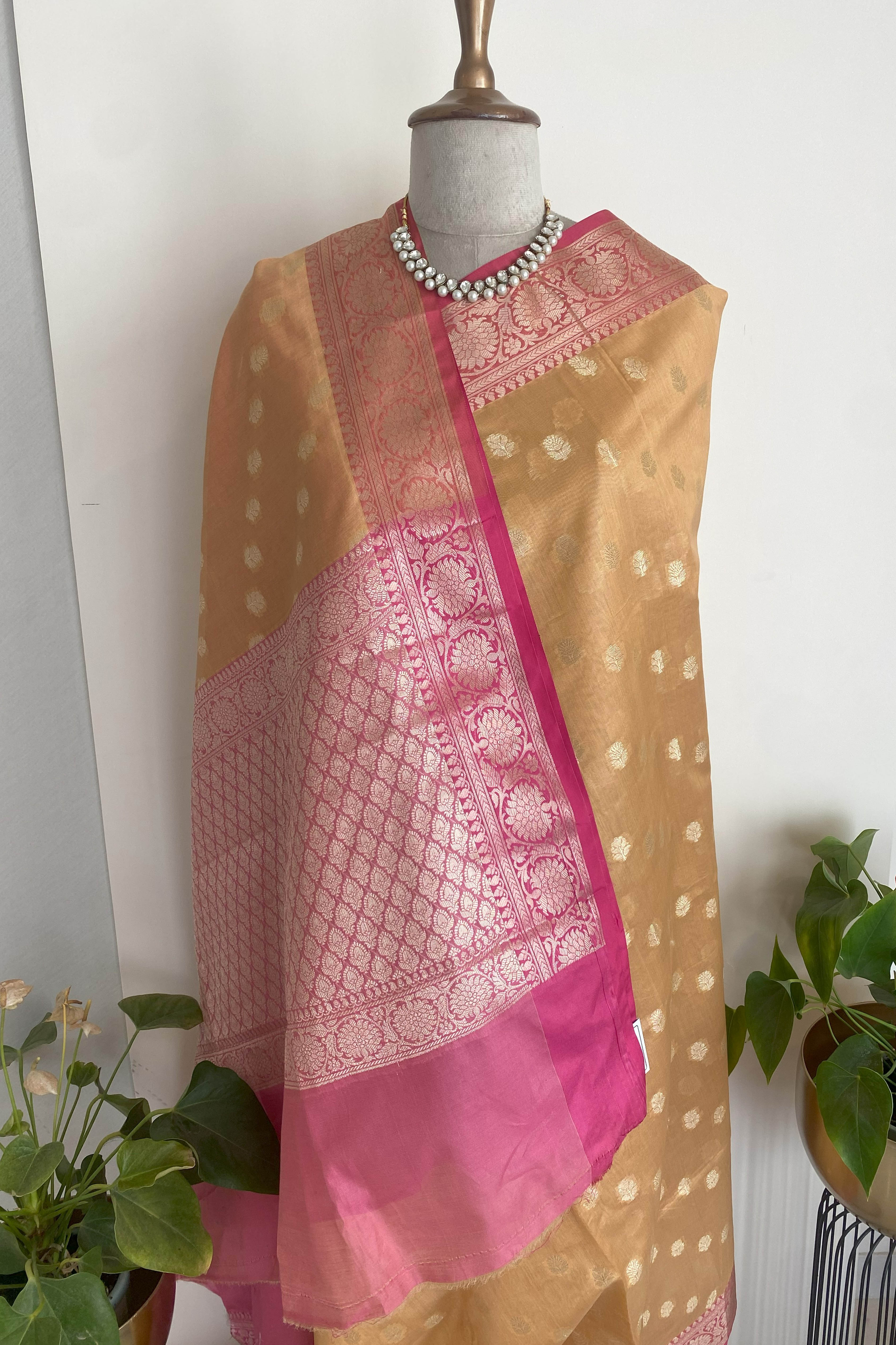 Nithya Banarasi Mercerized Cotton Saree in Golden Yellow & Rich Pink Pallu