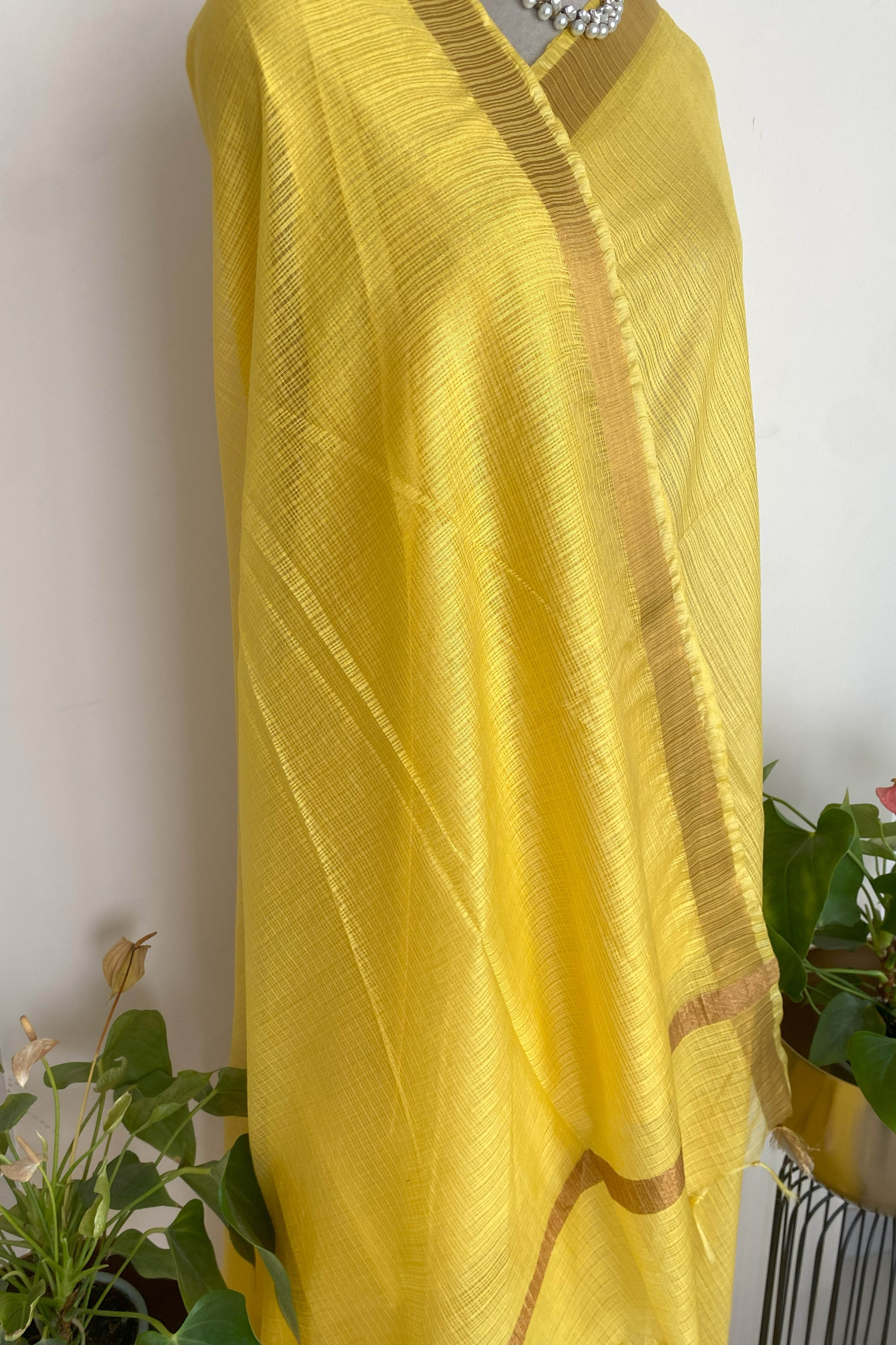 Aashvi Kota Silk Saree in Yellow Colour with Golden Border
