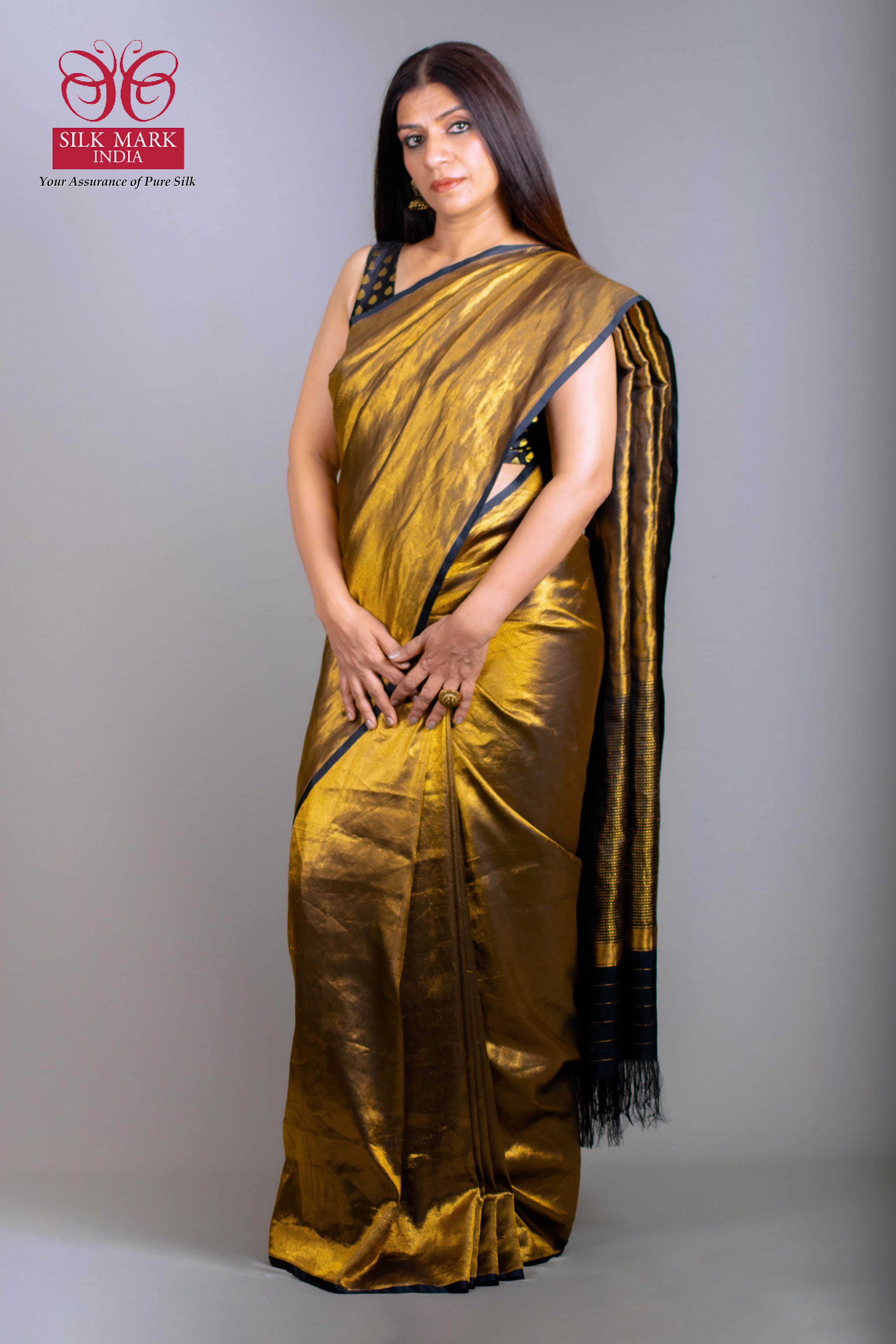 Sunehri Pure Brocade Silk Banarasi Saree in Rich Golden & Black Colour - Indian Handloomz