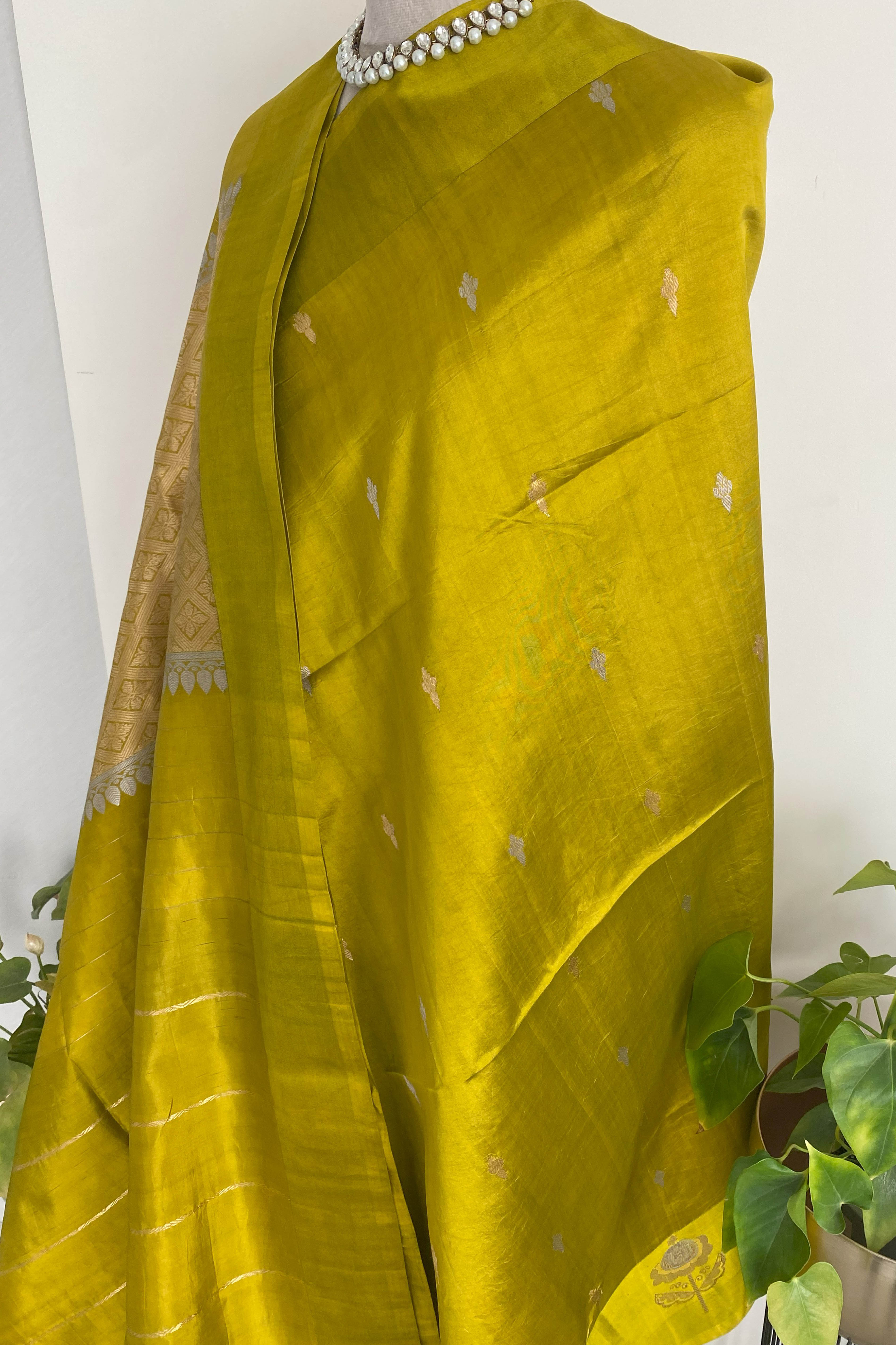 Greenish Golden Yellow Pure Mashru Silk Saree - Indian Handloomz