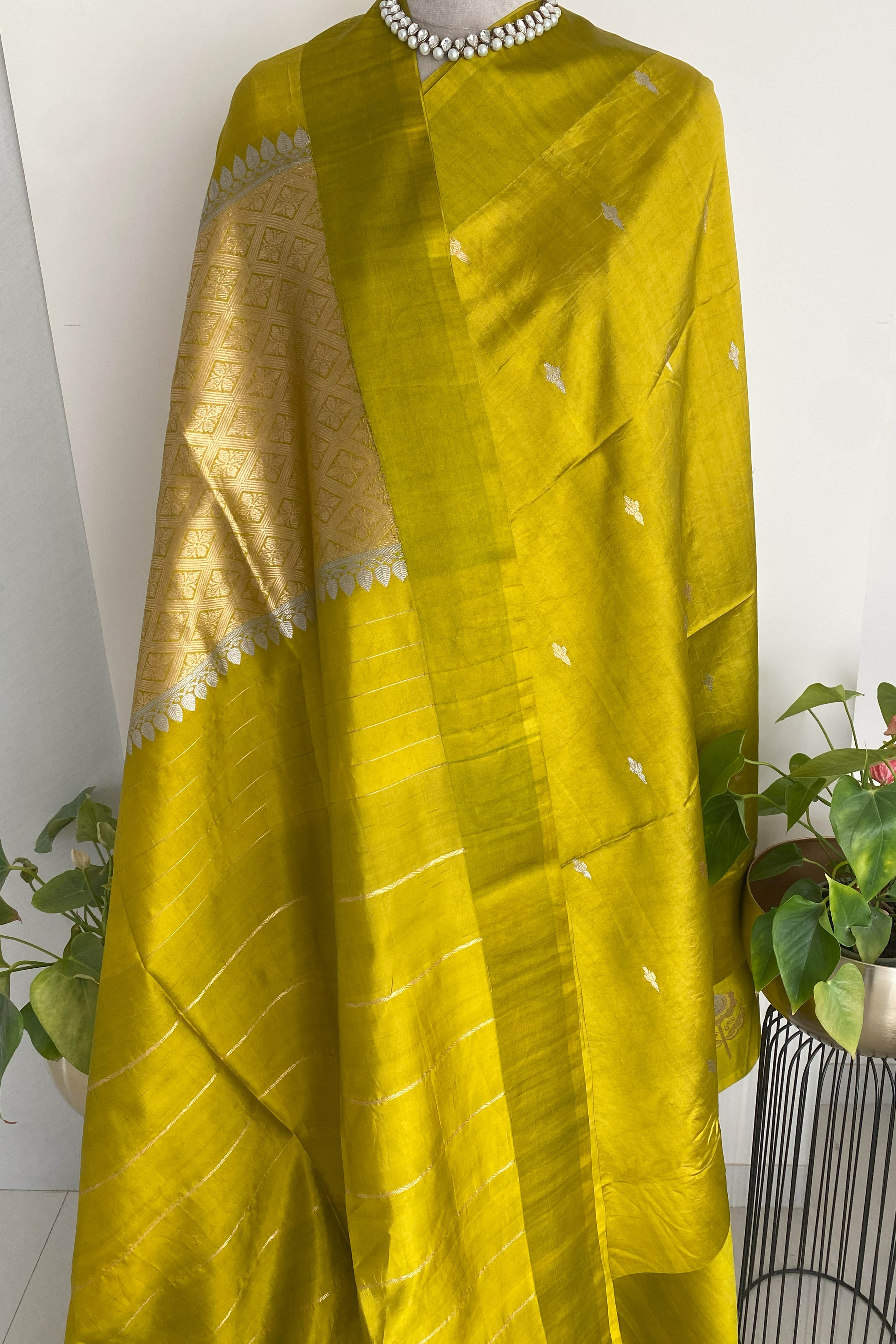 Greenish Golden Yellow Pure Mashru Silk Saree - Indian Handloomz