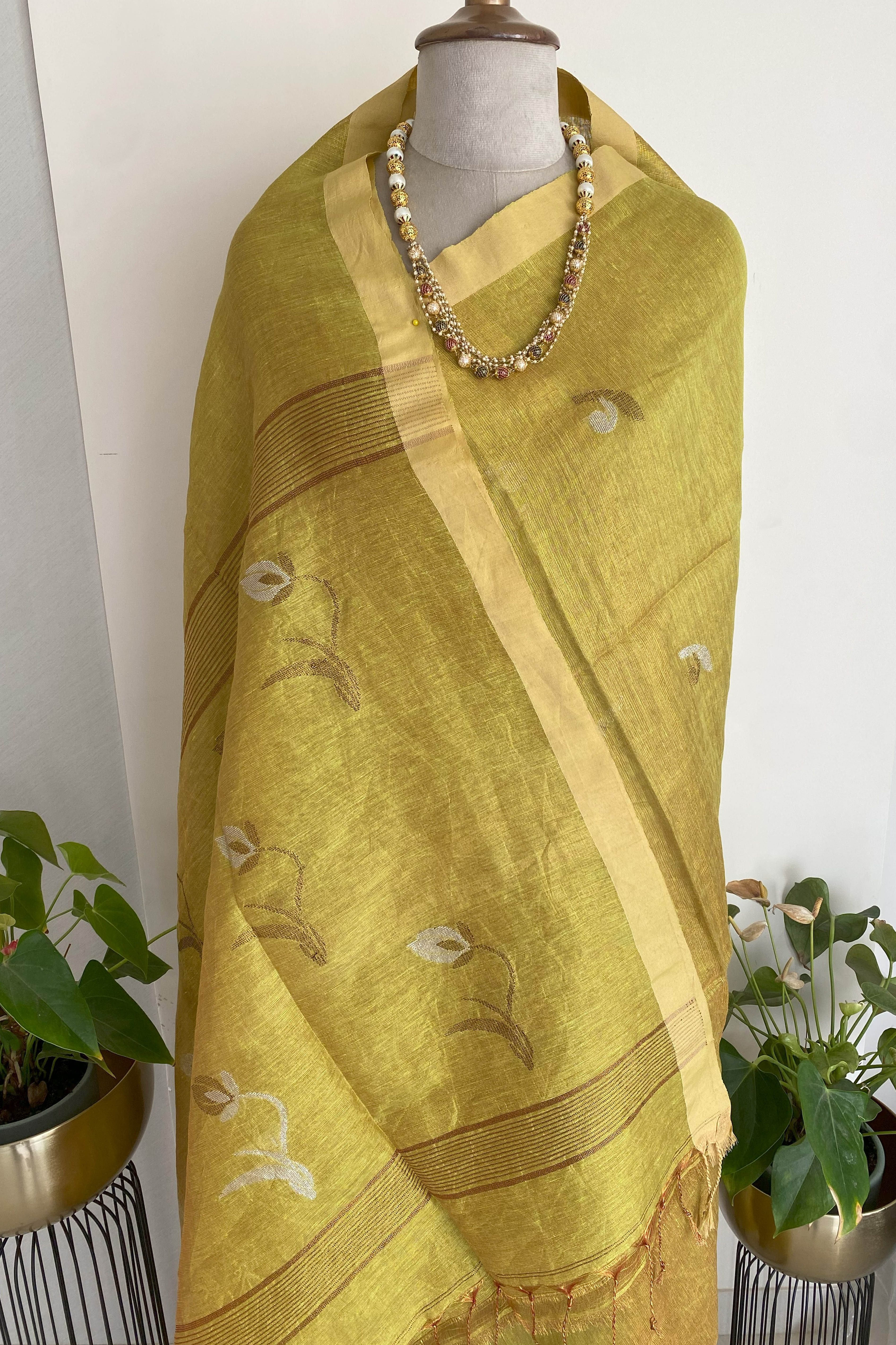 Maya Tissue Linen Saree in Golden Yellowish Green & Yellow Border - Indian Handloomz