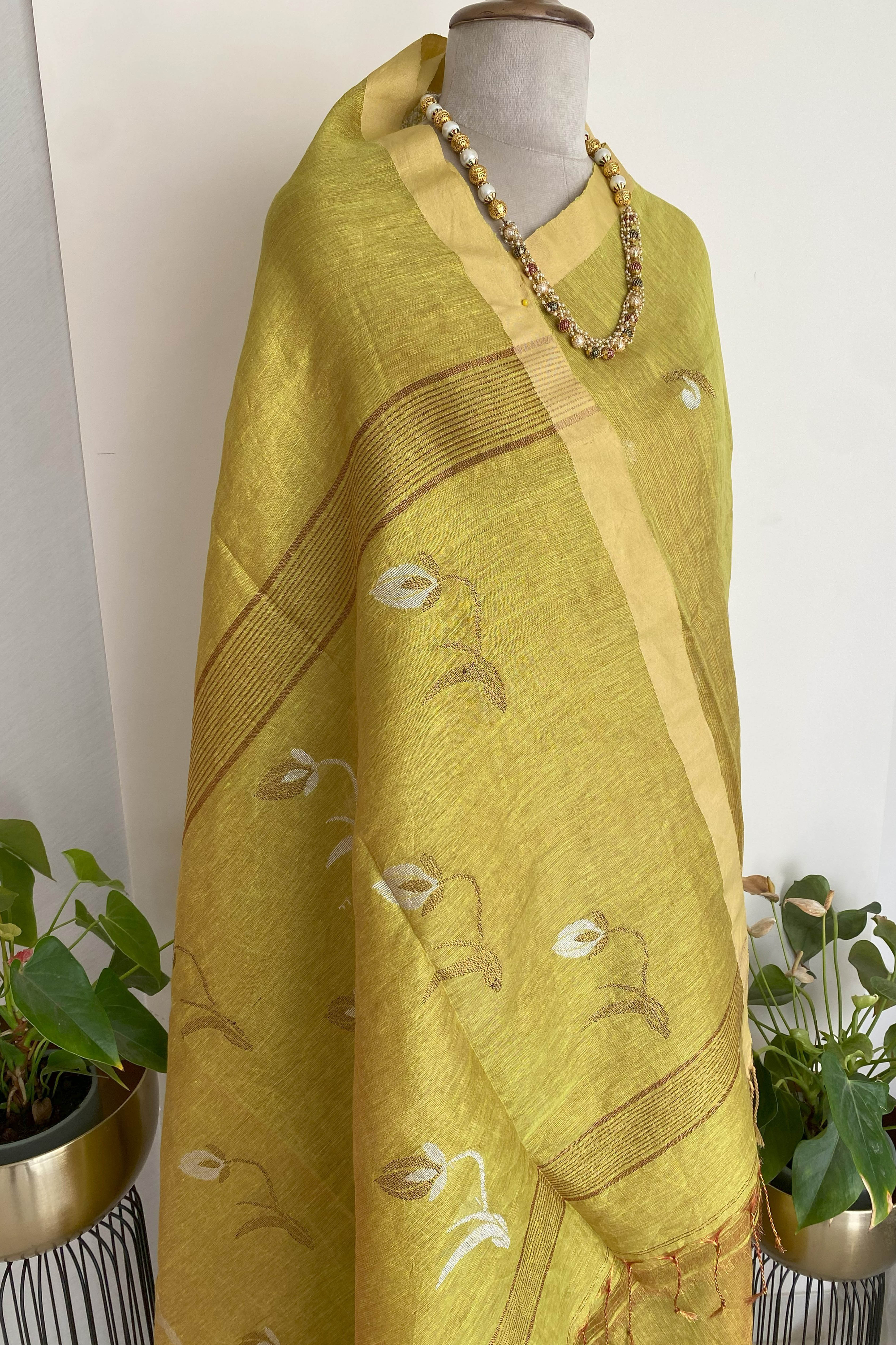 Maya Tissue Linen Saree in Golden Yellowish Green & Yellow Border - Indian Handloomz
