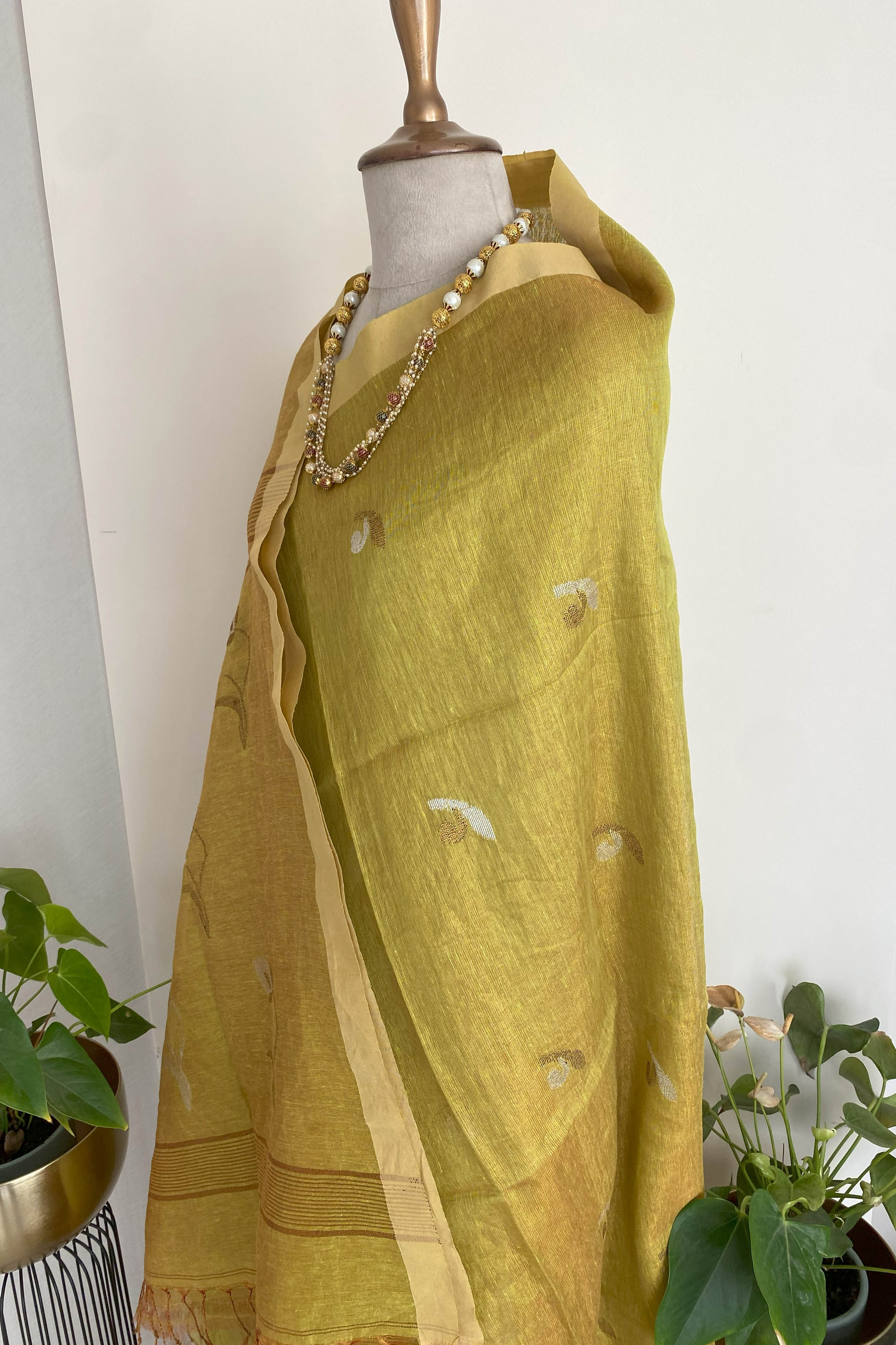 Maya Tissue Linen Saree in Golden Yellowish Green & Yellow Border - Indian Handloomz