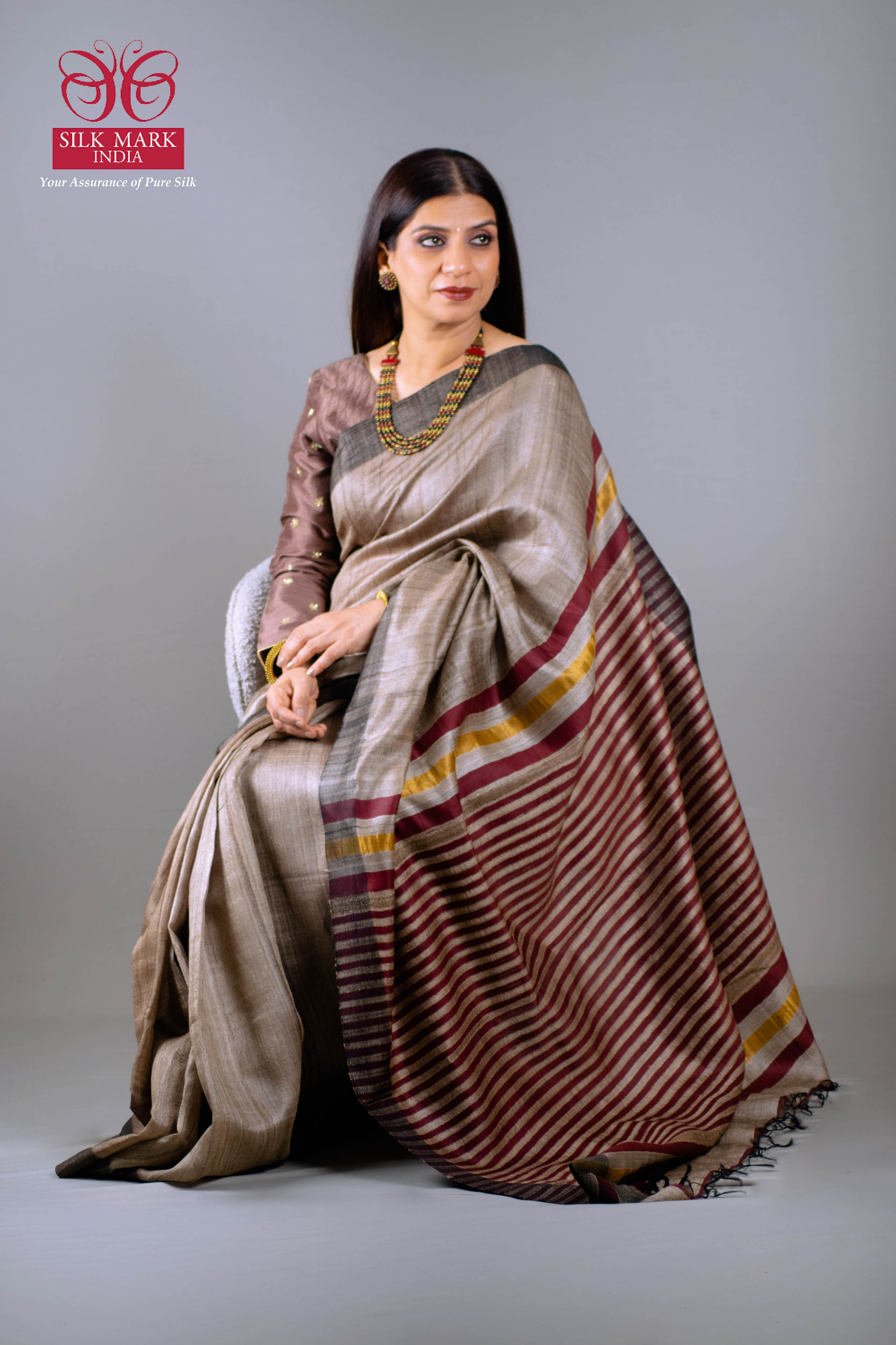 Ansha Pure Tussar Silk Saree in Ash Grey and Burgundy with Black Border - Indian Handloomz