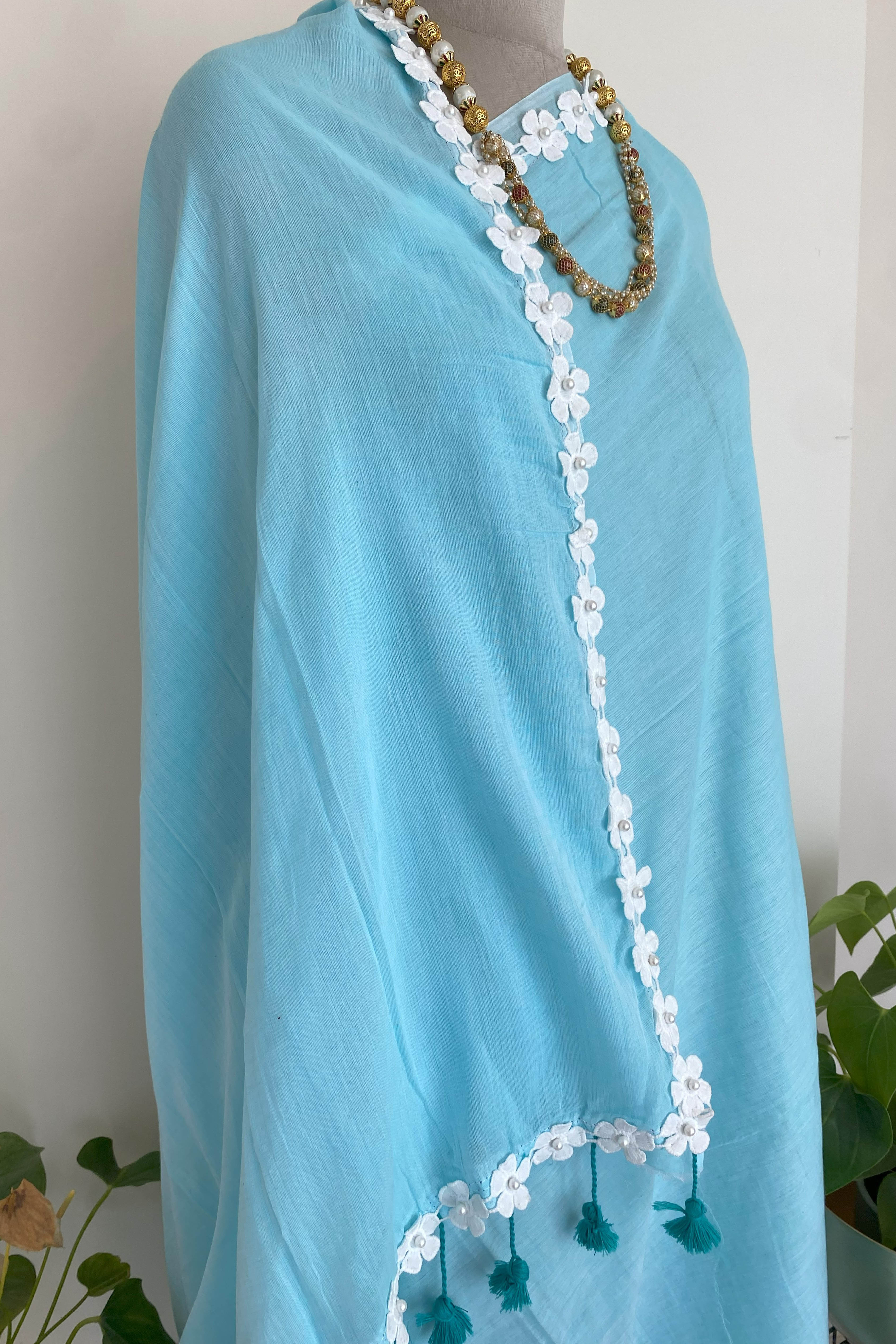 Neela Pure Mul Cotton Saree in Sky Blue with White Floral Lace