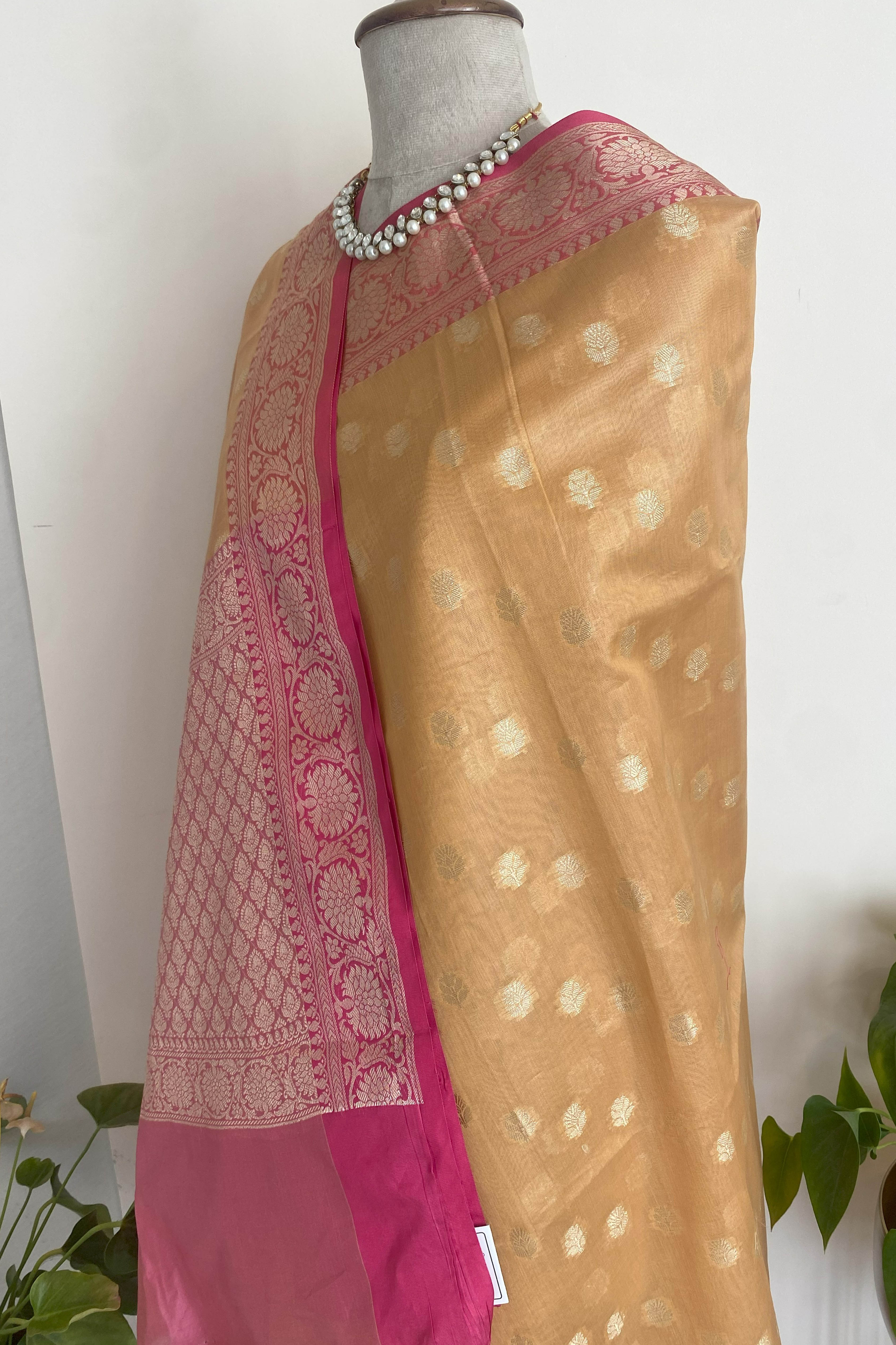 Nithya Banarasi Mercerized Cotton Saree in Golden Yellow & Rich Pink Pallu