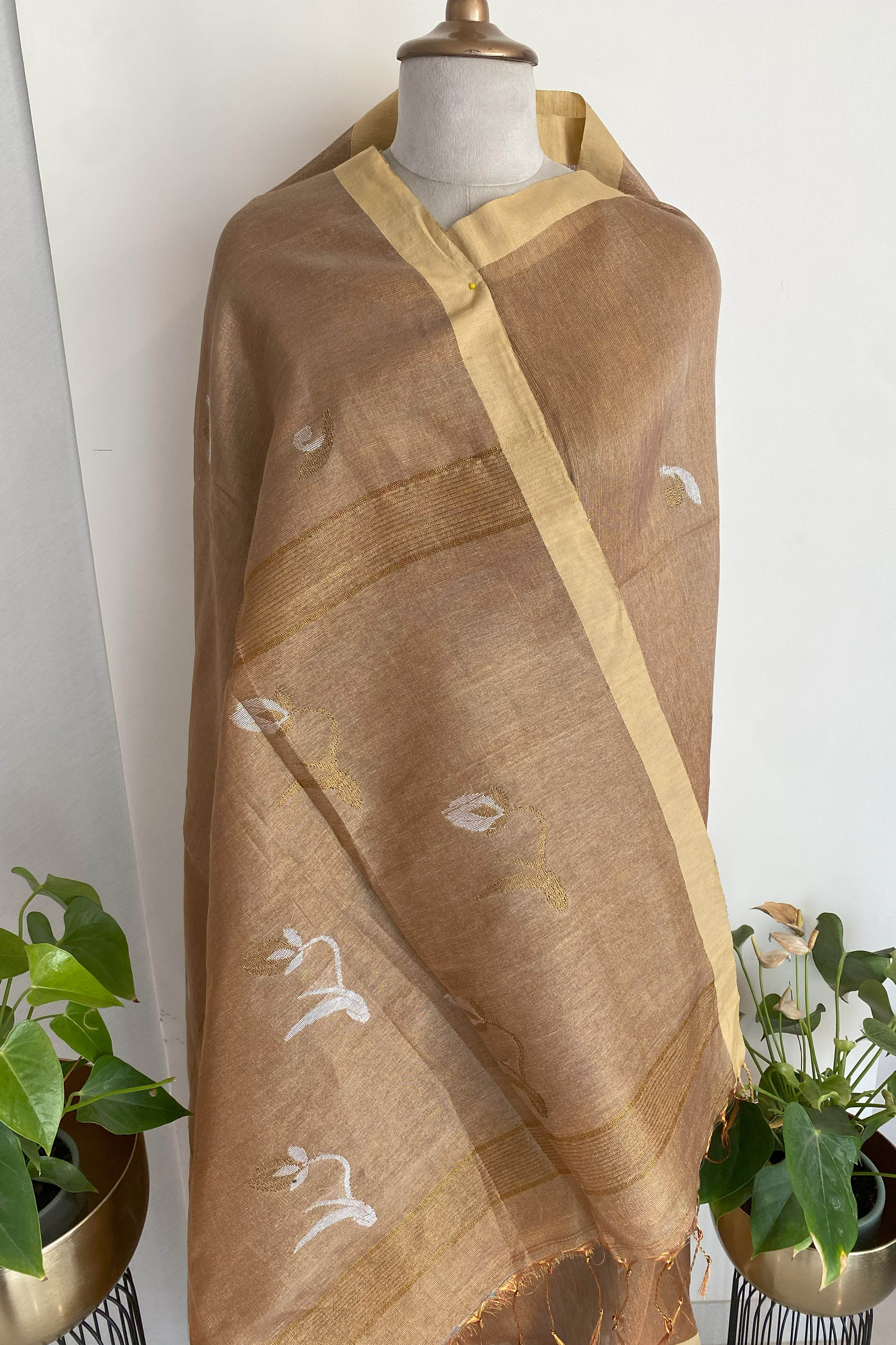 Ira Tissue Linen Saree in Golden Brown & Yellow Border