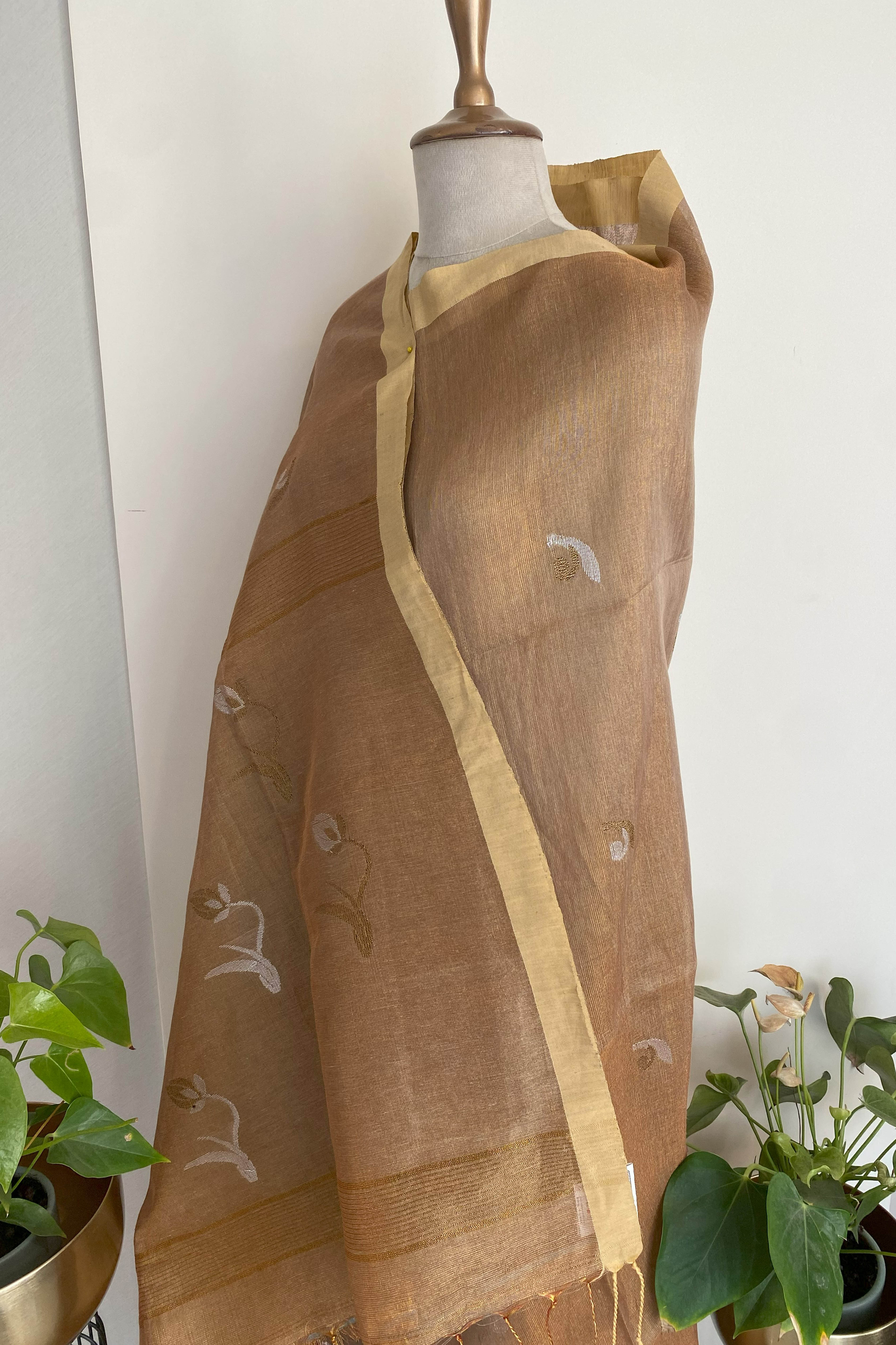 Ira Tissue Linen Saree in Golden Brown & Yellow Border