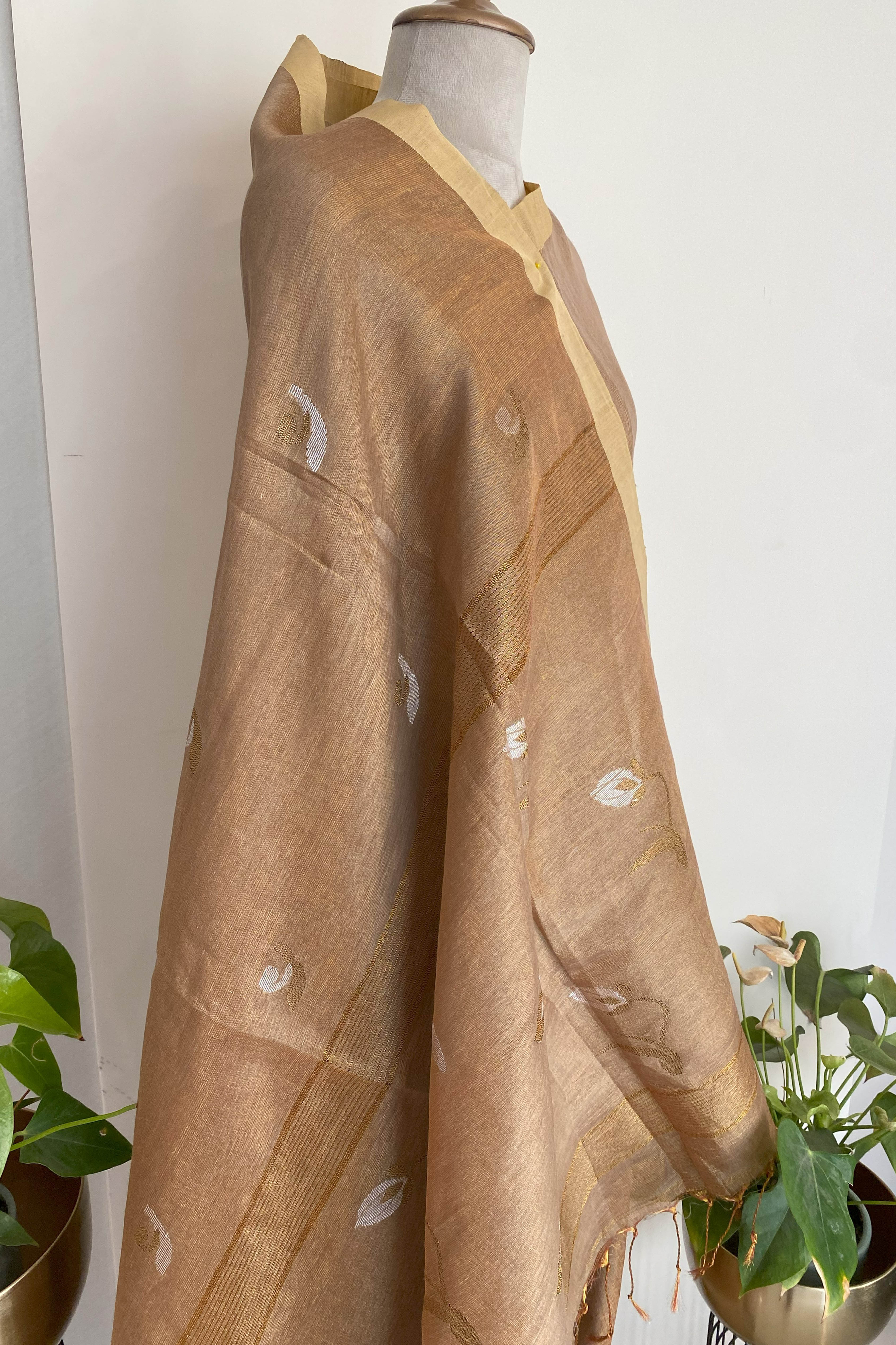 Ira Tissue Linen Saree in Golden Brown & Yellow Border