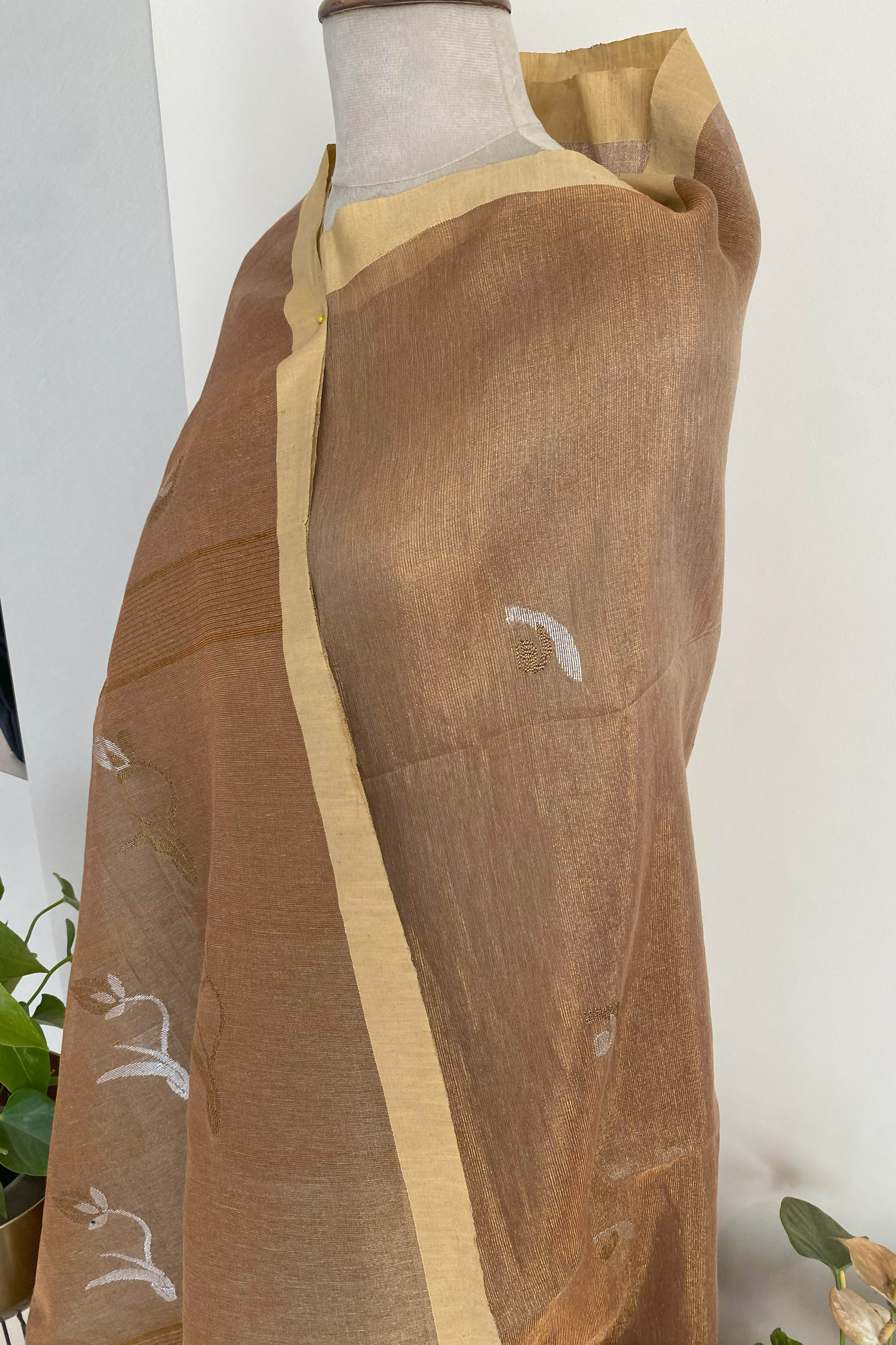 Ira Tissue Linen Saree in Golden Brown & Yellow Border