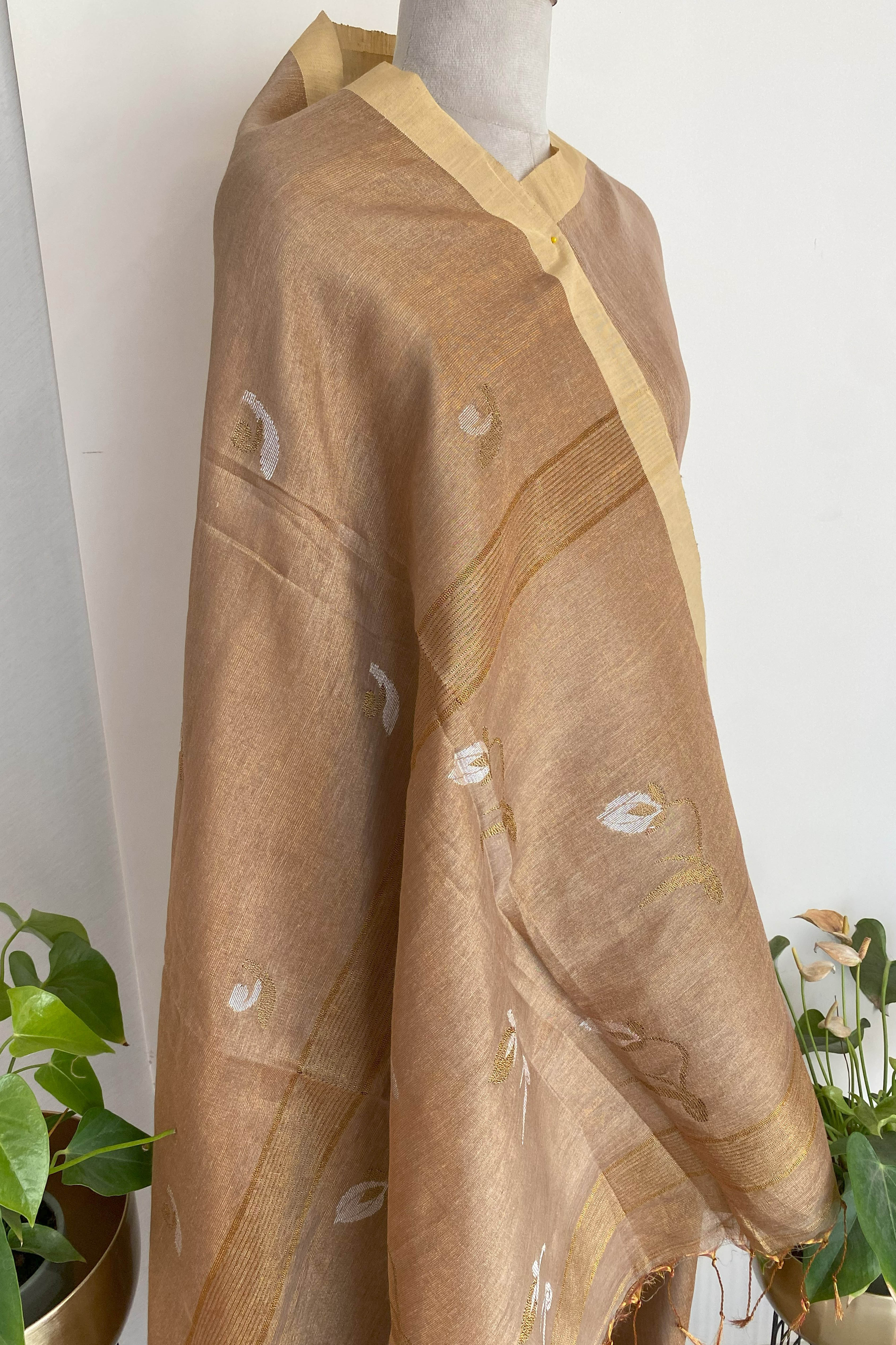Ira Tissue Linen Saree in Golden Brown & Yellow Border