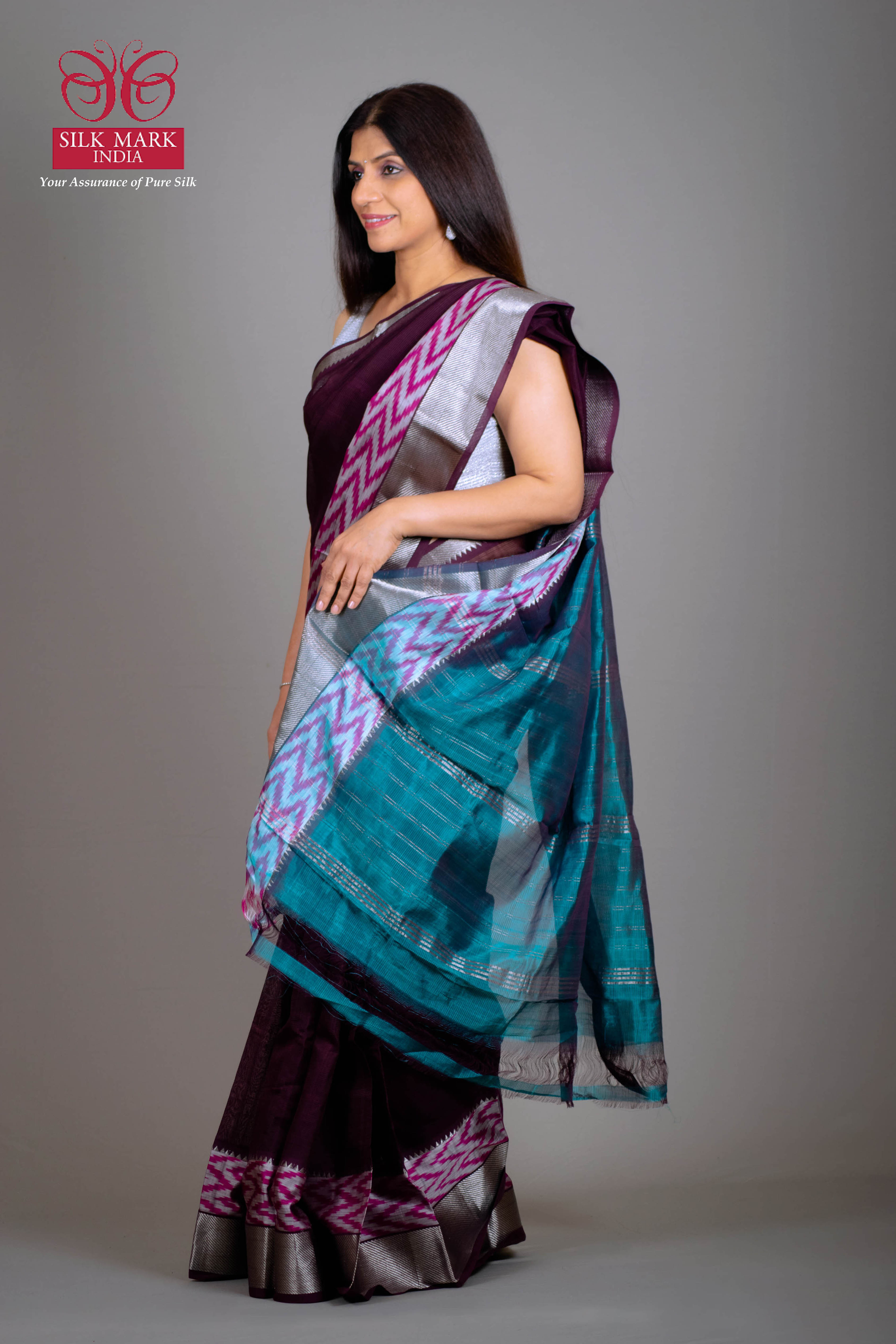 Hasmi Pure Venkatagiri Silk Pattu Saree in Royal Sangria Wine Colour with Magenta & Silver Ikkat Border - Indian Handloomz