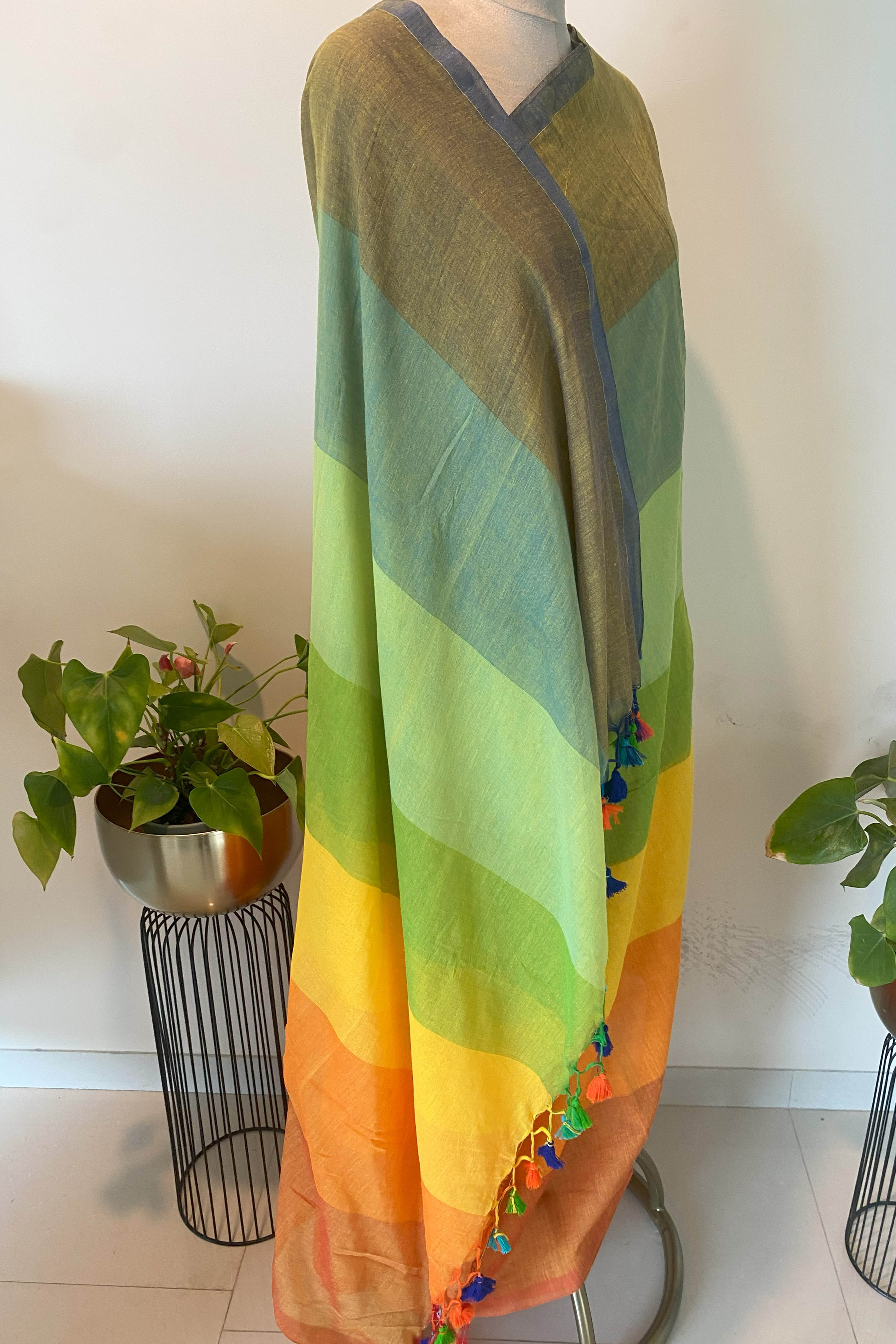Jamdani Mul Cotton Rainbow Saree in Multi Colour - Indian Handloomz
