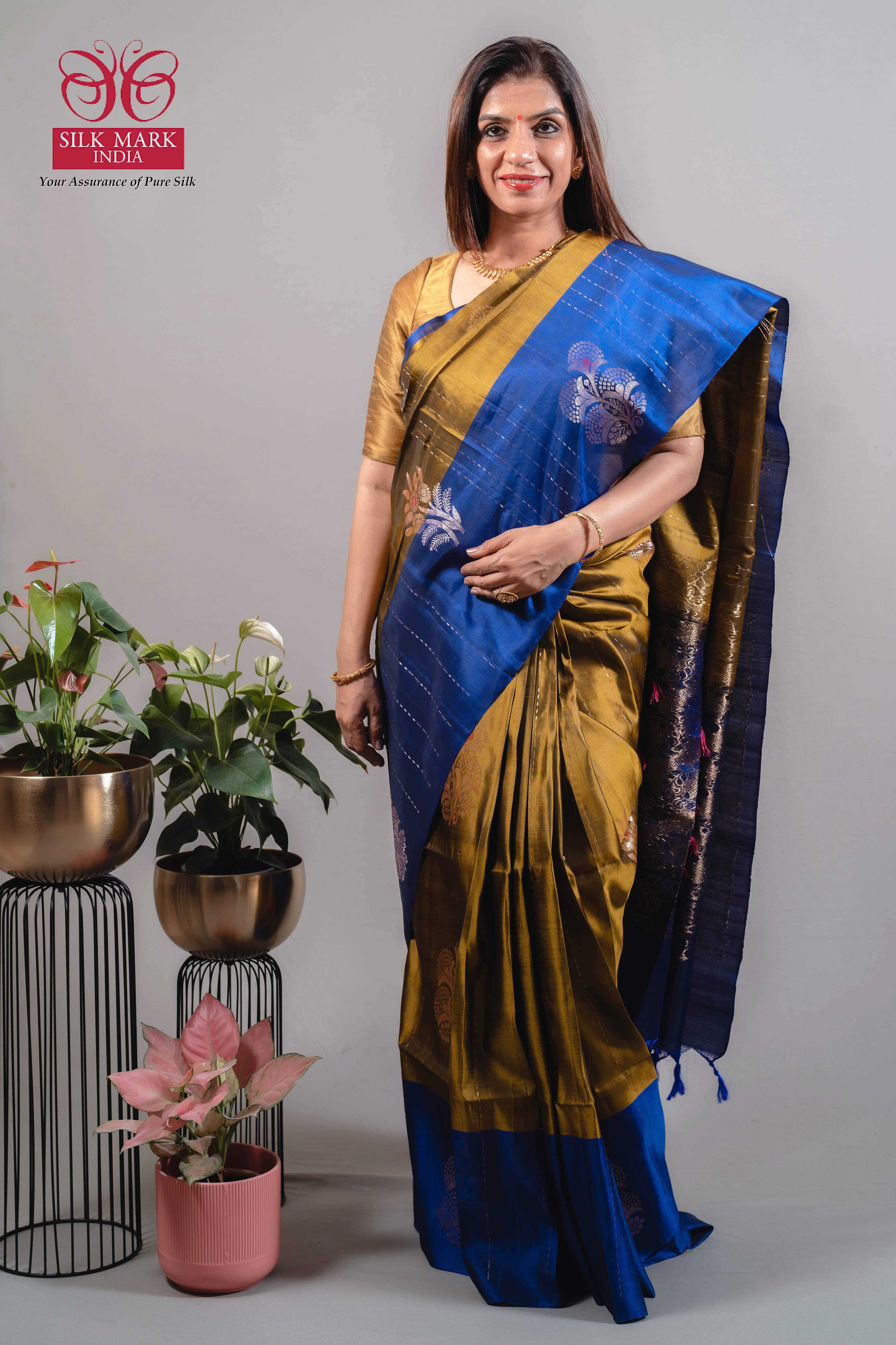 Suchi Dual Colour Pure Silk Kanjivaram Saree in Greenish Gold with Royal Blue & Silver Zari - Indian Handloomz