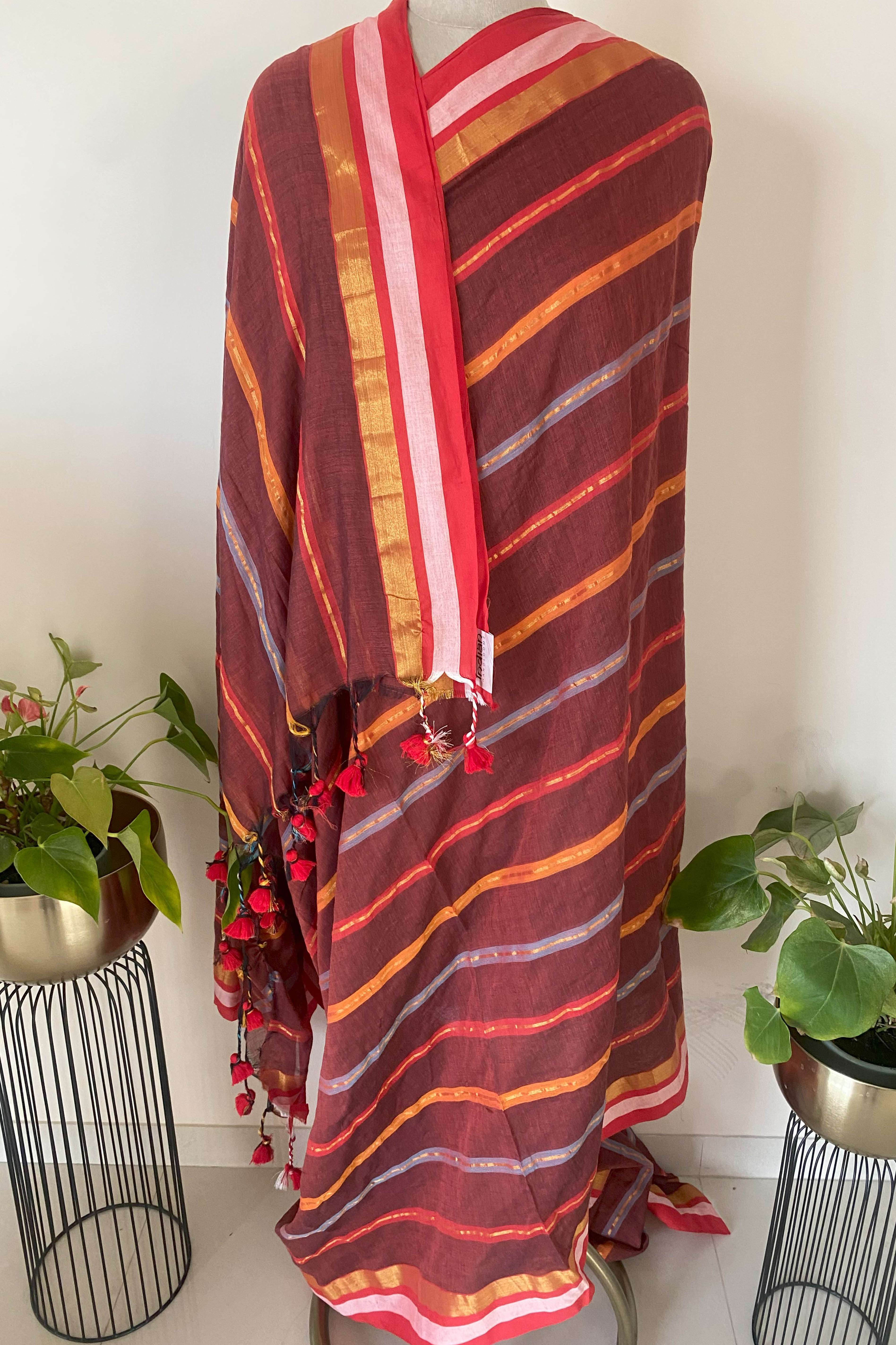 Mul Cotton saree in brown with multi colour zari stripes - Indian Handloomz