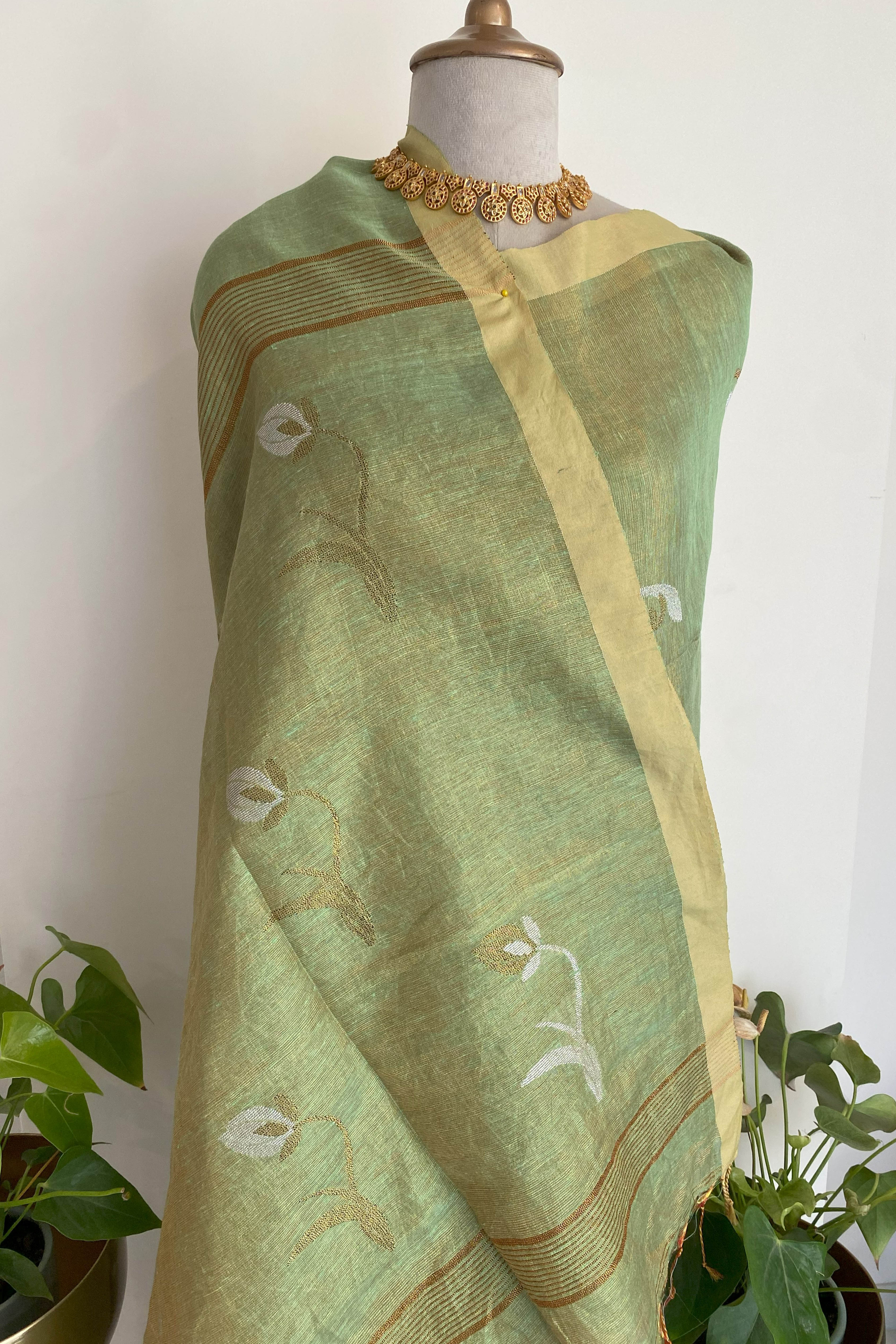 Suchi Tissue Linen Saree in Basil Green Colour & Yellow Border - Indian Handloomz