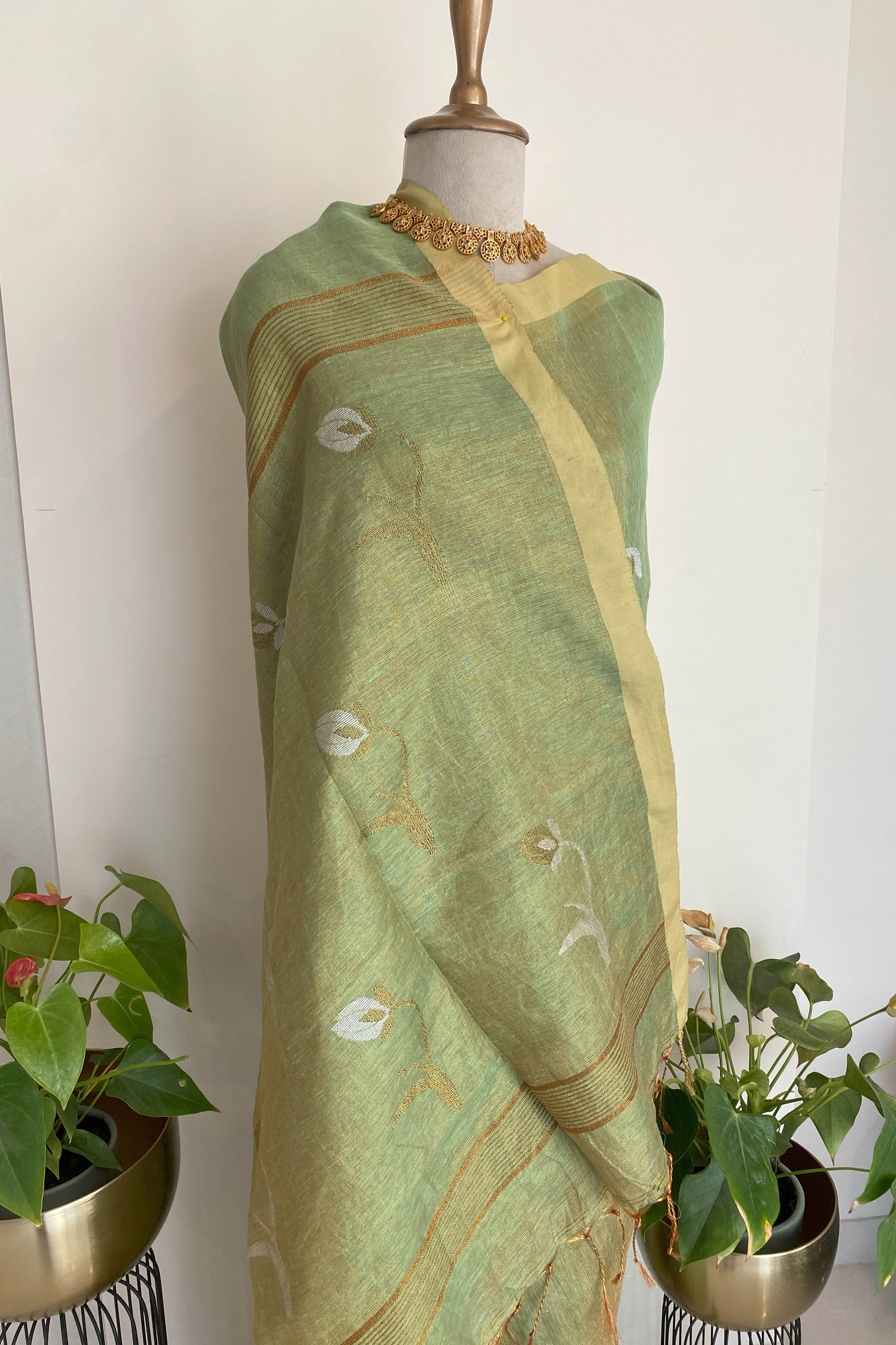 Suchi Tissue Linen Saree in Basil Green Colour & Yellow Border - Indian Handloomz